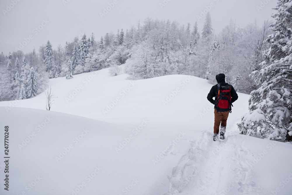 Hiker walking along a snow covered forest path in winter
