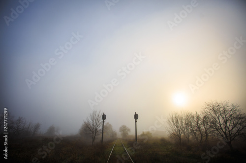 fog in the morning landscape