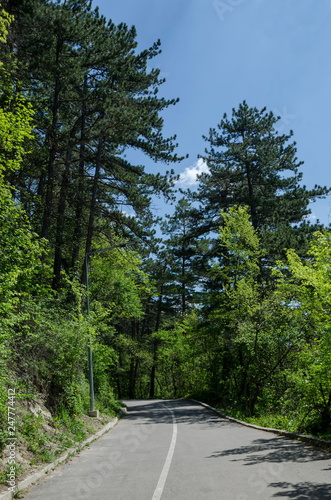 Picturesque road at Lozen mountain in springtime cloudy day, Pancharevo, Sofia, Bulgaria 