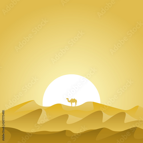 Desert landscape
