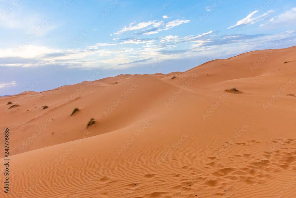 Beautiful landscape of the dunes of the Sahara Desert at dusk, Merzouga, morocco