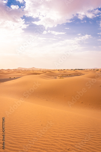 Fototapeta Naklejka Na Ścianę i Meble -  Beautiful landscape of the Sahara Desert, erg Chebbi, Merzouga, morocco