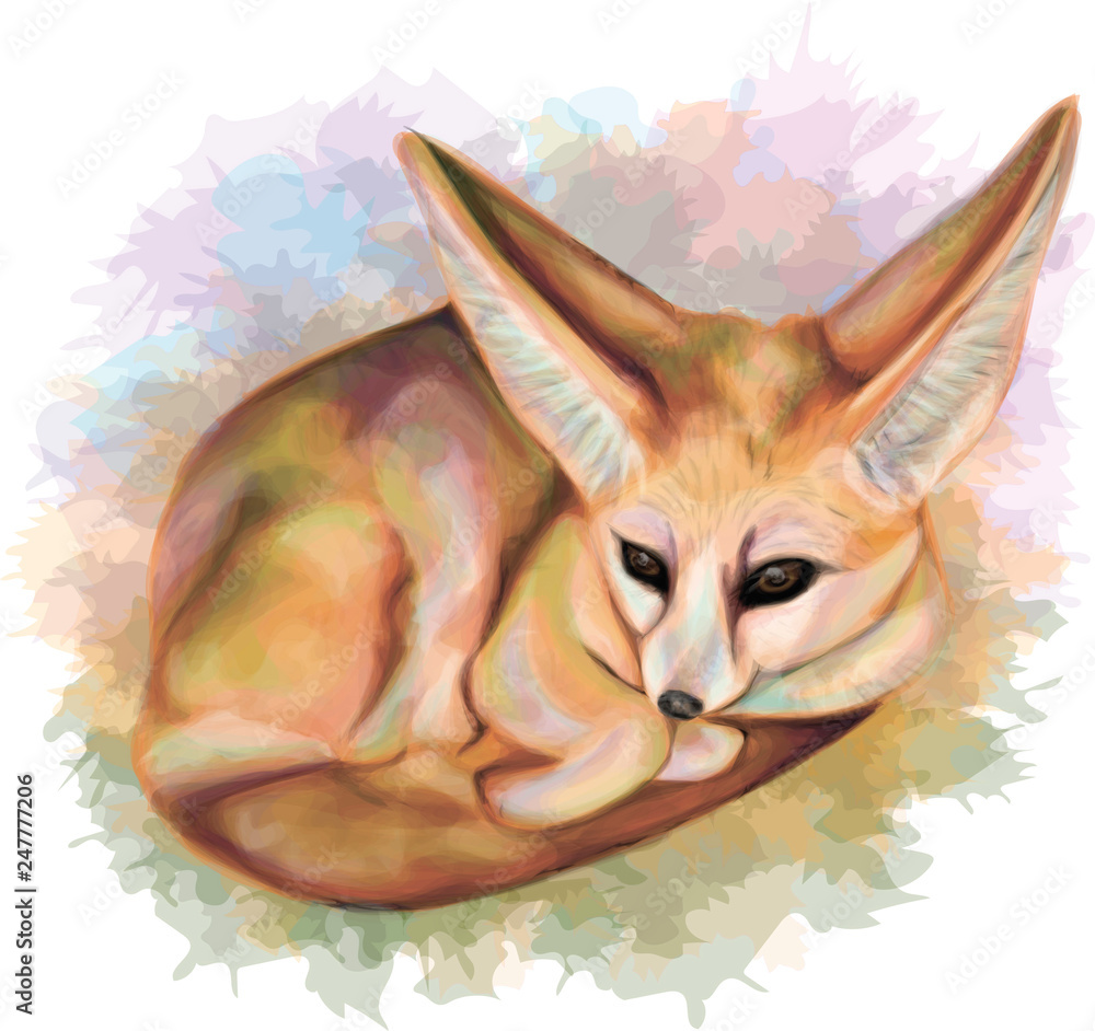 Fennec Fox _ Lovely Vector Foxx _ Cute Fox Illustration