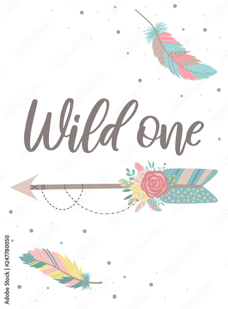 Wild feathers Vectors & Illustrations for Free Download