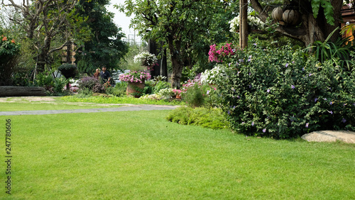 Green lawns and artificial wood pathways in garden have flowers and trees growing