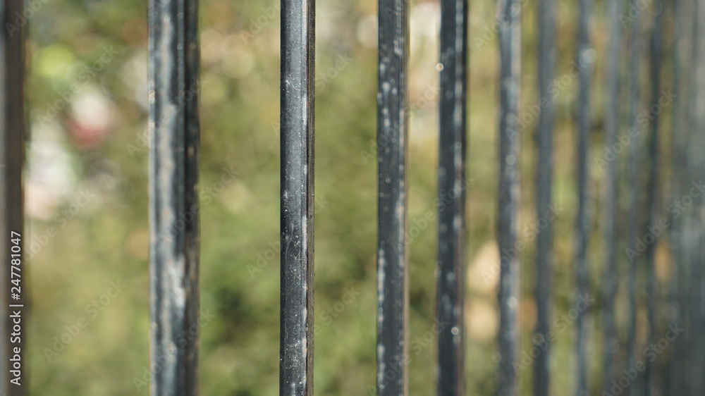fence fence