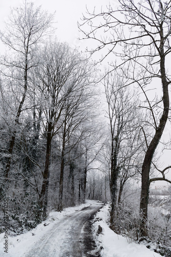 Weg an der Frutz im Winter photo