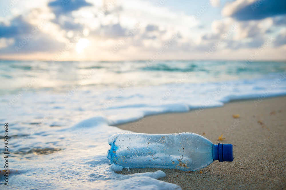 Used plastic water bottle washed up on the shore of a tropical