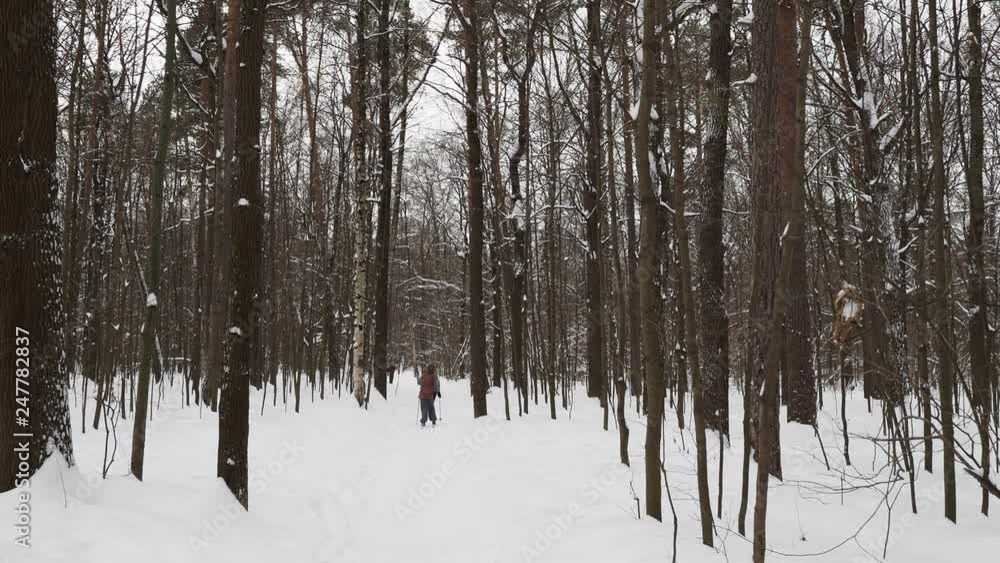skier skis on snow-covered path at fresh snow in city park skier skis on snow-covered path at fresh snow in city park