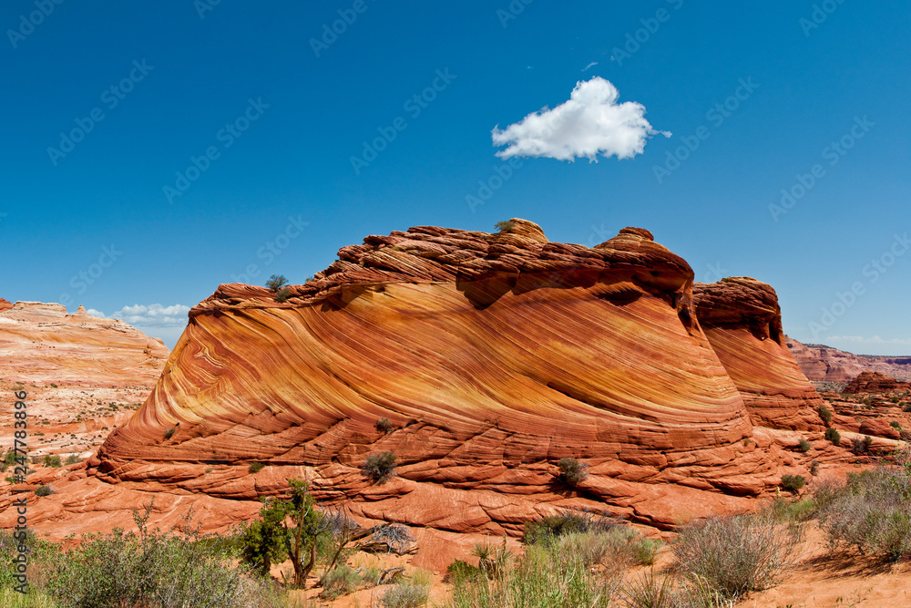 Fototapeta premium The Wave USA