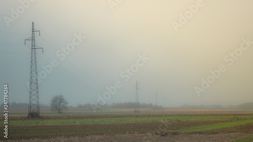 Foggy day in the field with electricity posts