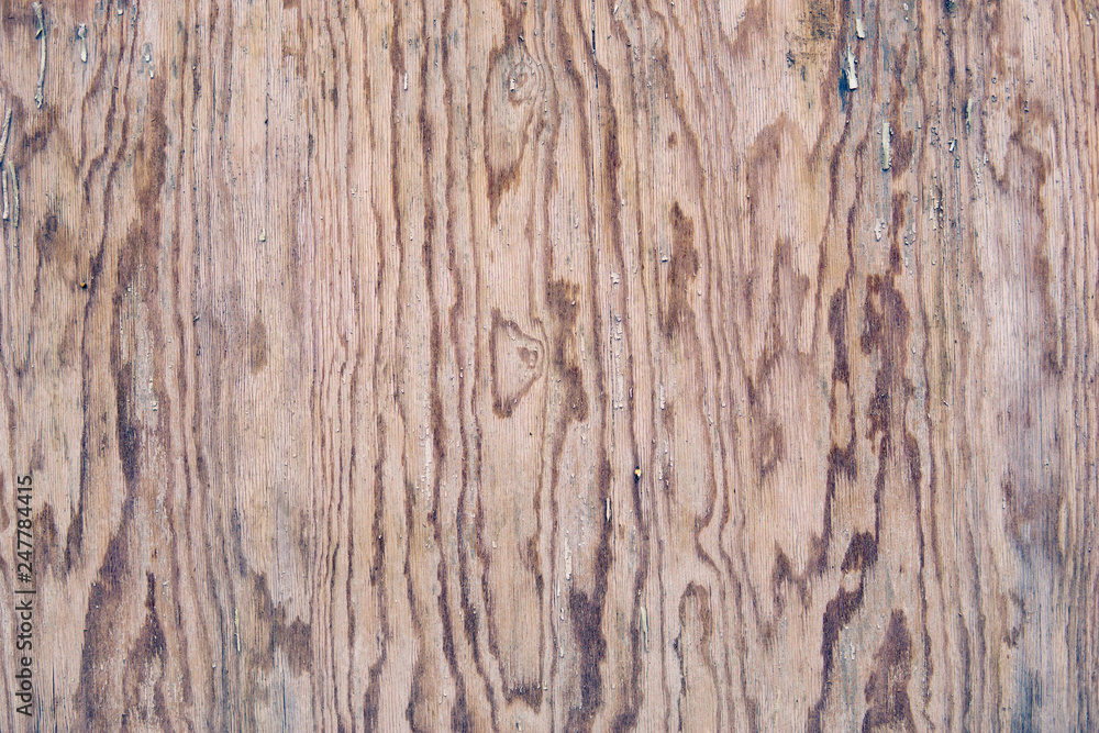 Pine board.Background for your project. Pine board.Background for your project.