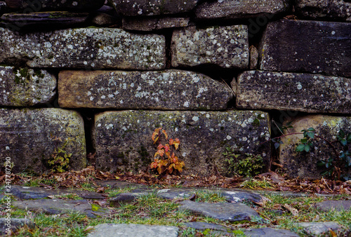 Megalithic building of the bronze age, the dolmen of village Pshada, the Caucasus, Russia (film photo) photo