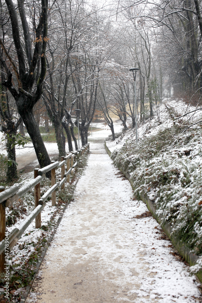 covered snow alleyway in a city park covered snow alleyway in a city park