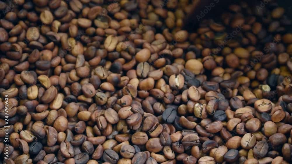 Roasted coffee beans in a pan, Traditional techniques. Roasted coffee beans in a pan, Traditional techniques.