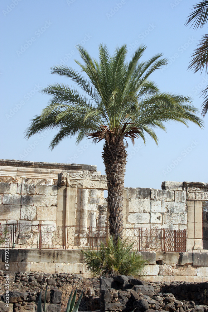 Capernaum, Ruins of the old Roman town