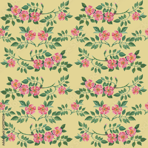 Seamless floral pattern with flowers.