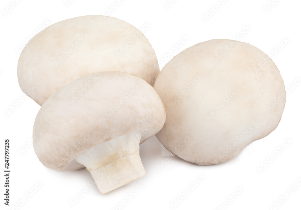 champignon mushrooms isolated on white background, with clipping path champignon mushrooms isolated on white background, with clipping path