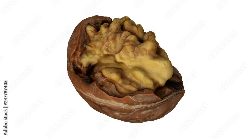 Realistic render of a rotating cracked walnut (showing the kernel inside) on whitebackground. The video is seamlessly looping, and the object is 3D scanned from a real walnut. Realistic render of a rotating cracked walnut (showing the kernel inside) on whitebackground. The video is seamlessly looping, and the object is 3D scanned from a real walnut.