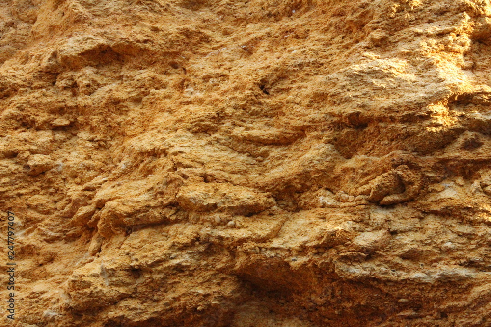 Natural stone which has become from many seashells Natural stone which has become from many seashells