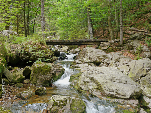 Brücke bei den Rieslochwasserfällen - Risslochwasserfällen bei Bodenmais, größter Wasserfall im Bayerischen Wald photo