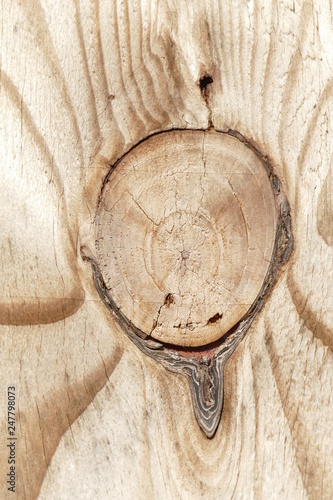 Holztextur, Hintergrundbild, hellbraune Holzwand an einem Bauzau photo