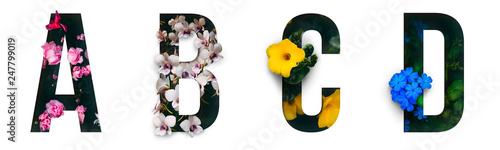 Canvastavla Flower font Alphabet a, b, c, d made of Real alive flowers with Precious paper cut shape of letter