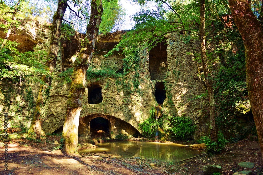 vecchio rudere di mulino idraulico conosciuto come Il Mulinaccio di Scandicci immerso nel bosco nei pressi di San Vincenzo a Torri in provincia di Firenze, Italia