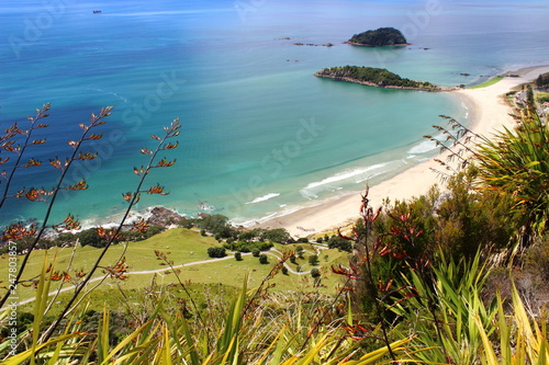 Mount Maunganui beach - Tauranga - New Zealand