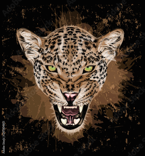 Portrait of a leopard - Colorful vector art - Grunge art