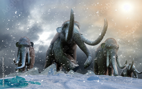 herd of mammoths in the wild render 3d photo