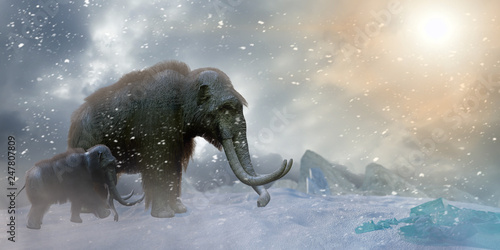 Tableau sur toile herd of mammoths in the wild render 3d