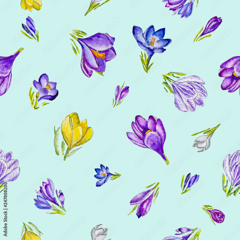Watercolor floral pattern with spring crocuses.