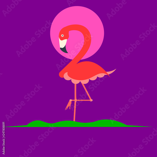 Flamingo 2019 illustration 