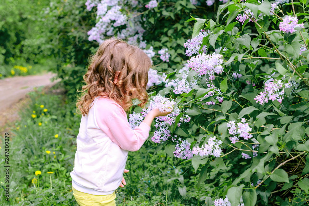 Happy baby girl exploring the world of plants after rain. Concept of learning. Lilac Bush in the garden. Happy baby girl exploring the world of plants after rain. Concept of learning. Lilac Bush in the garden.