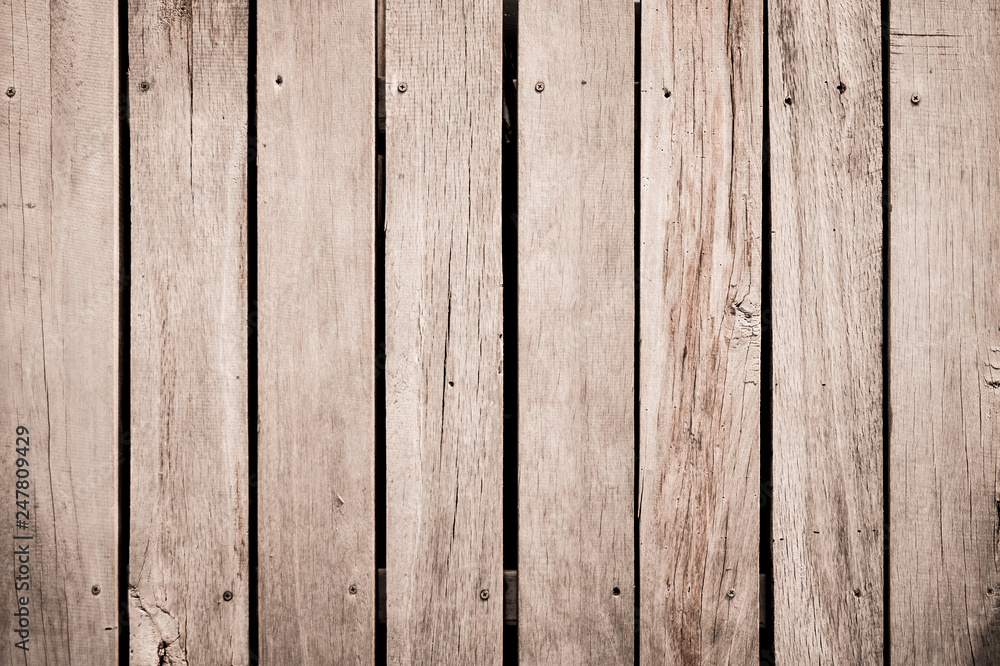 Texture of wood background
