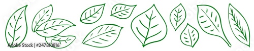 green leaf icon set #isolated #vector