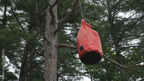 Camping foodbag hung from tree to protect food from bears, raccoons and other wild animals. Killarney Provincial park, Ontario, Canada. photo