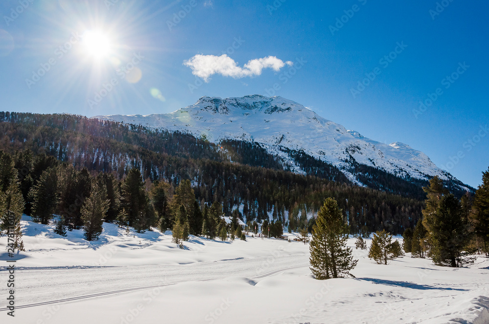 St. Moritz, Stazersee, Stazerwald, Bergsee, Langlauf, Winter, Wintersport, Rosatschgruppe, Alpen, Oberengadin, Graubünden, Schweiz