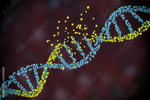 Destruction of DNA, damaged DNA, 3D illustration. Concept of disease, genetic disorder, genetic engineering photo