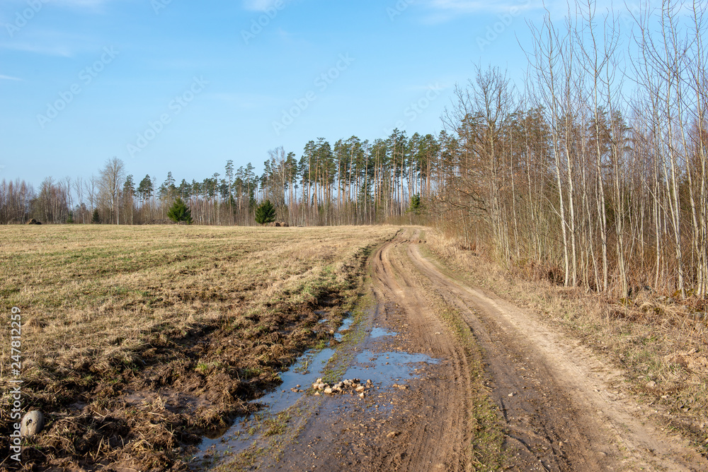 empty country gravel road with mud puddles and bumps empty country gravel road with mud puddles and bumps