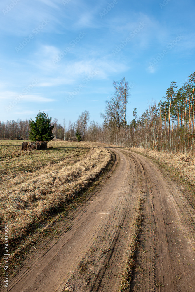 Naklejka premium empty country gravel road with mud puddles and bumps