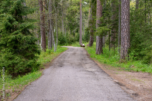 empty asphalt road outside city