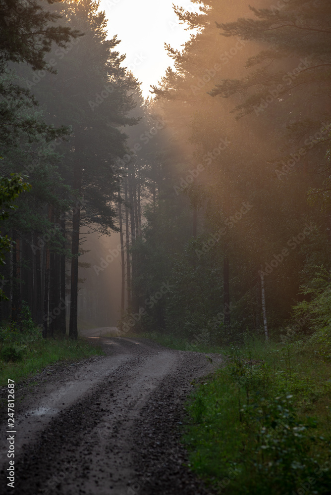 empty country gravel road with mud puddles and bumps empty country gravel road with mud puddles and bumps
