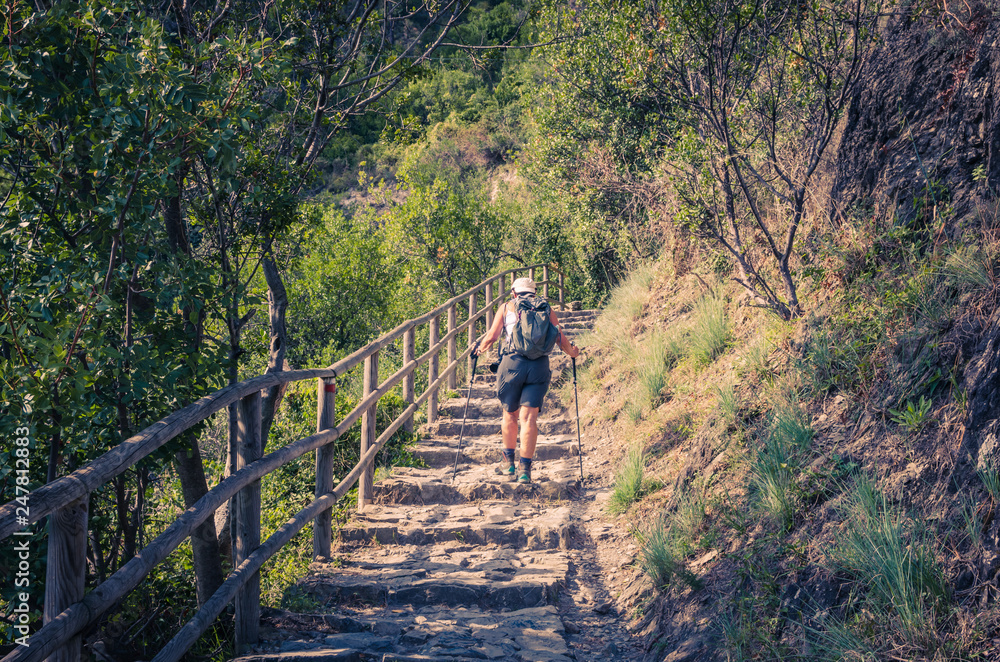 Tourist woman is hiking up steps of pedestrian stone path trail stairs with railing between Corniglia and Vernazza villages, National park Cinque Terre, La Spezia province, Liguria, Italy