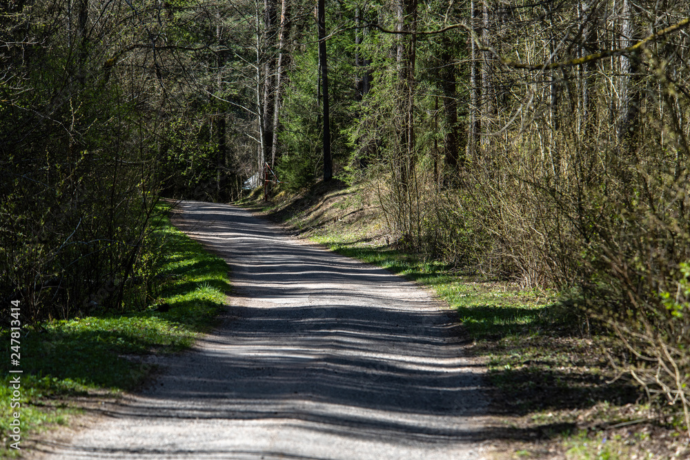 Obraz premium empty country gravel road with mud puddles and bumps
