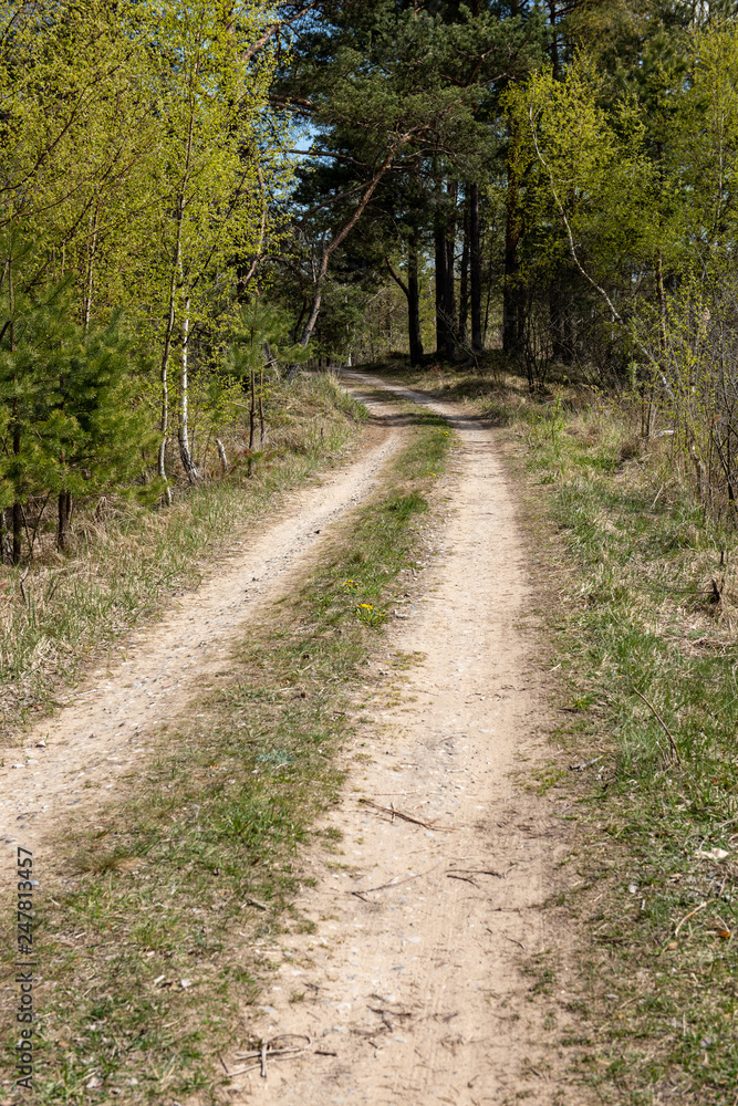 empty country gravel road with mud puddles and bumps