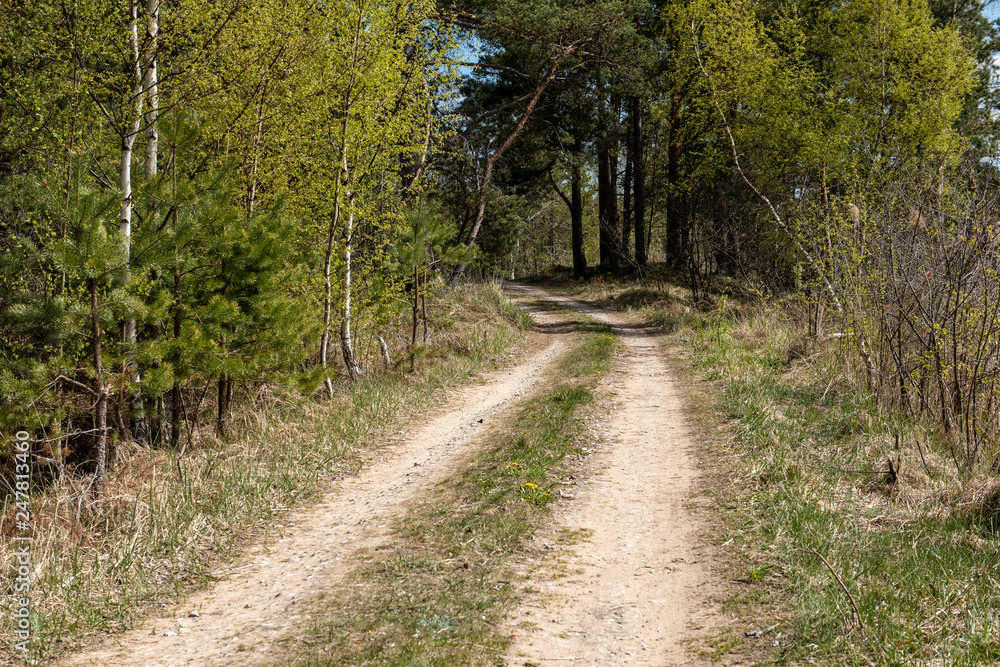 Naklejka premium empty country gravel road with mud puddles and bumps