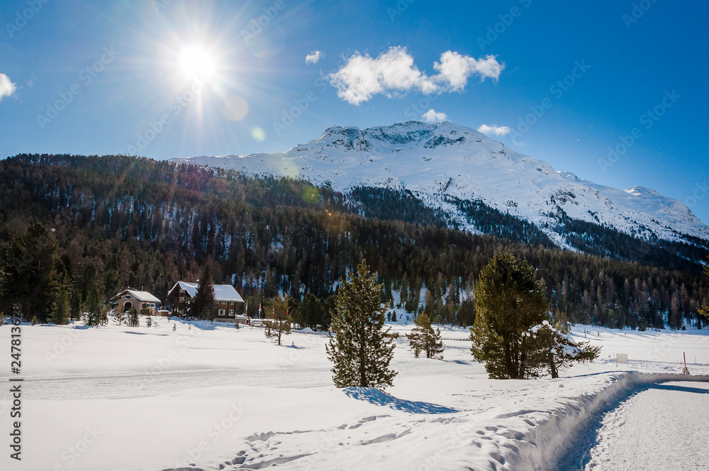 St. Moritz, Stazersee, Stazerwald, Bergsee, Winter, Wintersport, Langlauf, Oberengadin, Alpen Graubünden, Schweiz