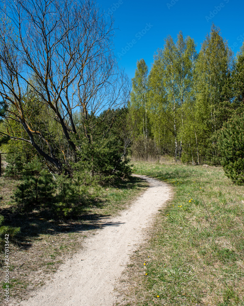 Naklejka premium empty country gravel road with mud puddles and bumps